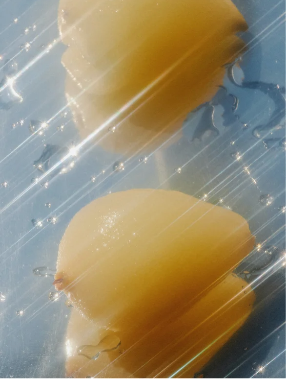 Fresh Conditioner Citrus Cocktail displayed on reflective surface with glistening water droplets.