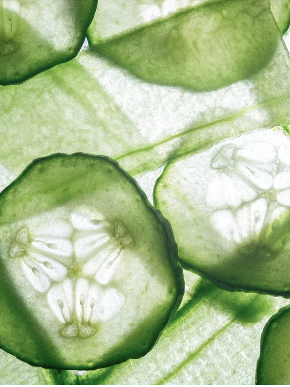 Close-up of fresh, translucent cucumber slices showcasing their vibrant green color and texture.