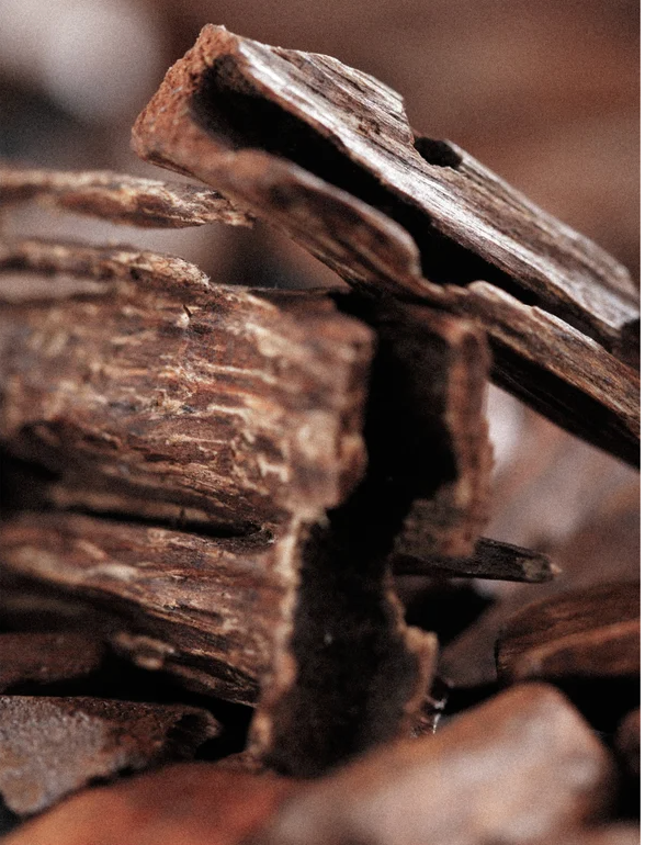 Close-up of textured wooden pieces, showcasing natural grain patterns and earthy hues.