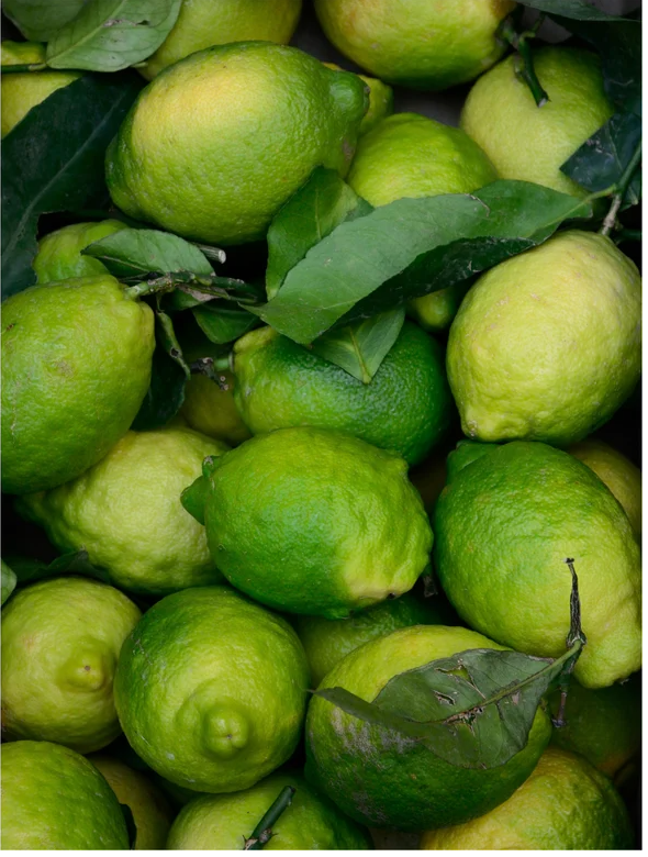 Fresh green limes piled together with leaves for a vibrant, natural look.