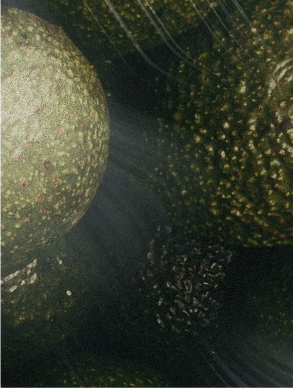 Nourishing Facial Oil For All Skin with organic certified oils and extracts for healthy glowing skin.