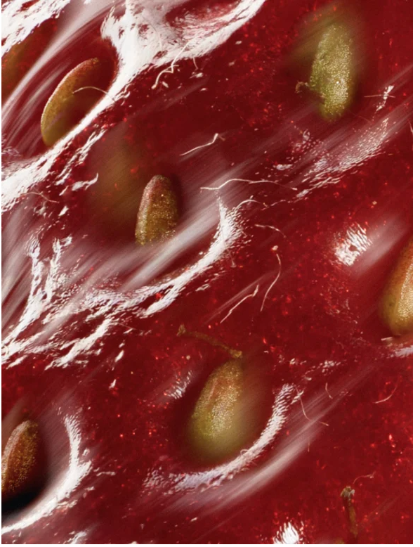 Close-up view of a textured surface with seeds and a red background, showcasing natural elements ideal for skincare products.