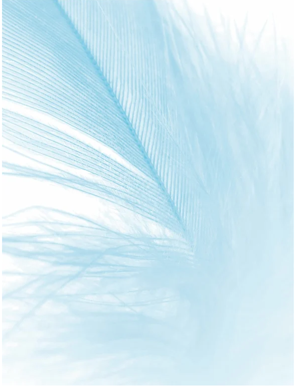 Close-up of a soft blue feather with delicate, airy strands against a light background.