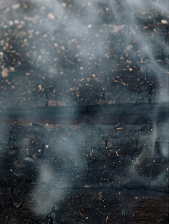 Close-up of dark textured surface with smoke, evoking natural elements for Silk Skin Body Serum Spices and Sandalwood.