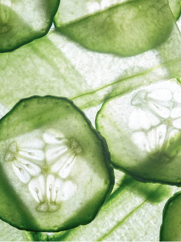 Fresh cucumber slices showcasing vibrant green layers and seeds, perfect for skincare products like kojic acid dark spot treatment.