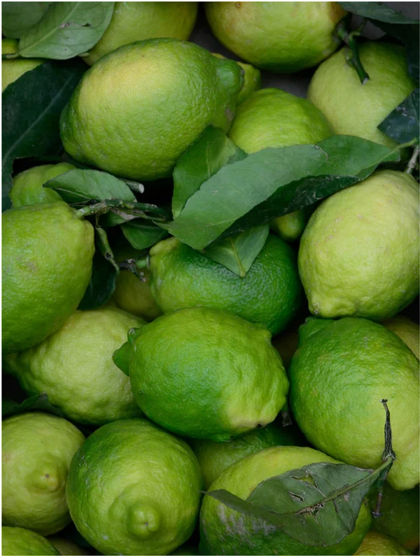 Fresh green lemons with leaves, showcasing the bright and vibrant color of the fruit.